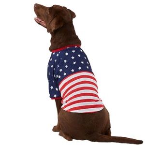 NWT American flag patriotic t-shirt tee L
